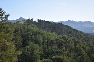 Αγροτεμάχια 2.000 τ.μ. για πώληση, Ν. Καβάλας, Θάσος-thumb-5