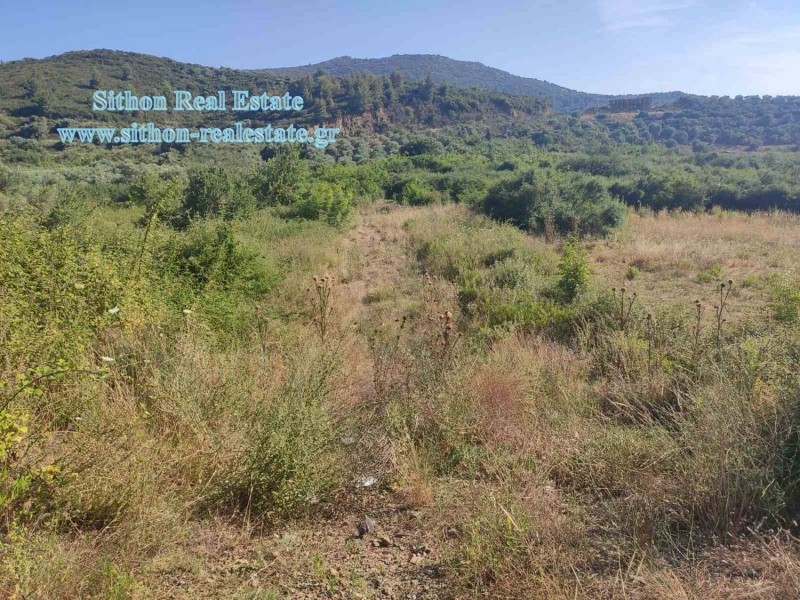 Αγροτεμάχια 1.481 τ.μ. προς πώληση, Κουφός Τορώνης