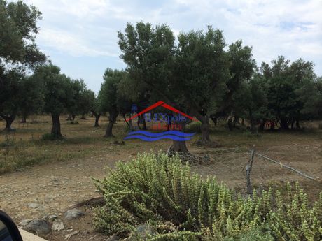 Αγροτεμάχια 4.260τ.μ. για πώληση-Σαμοθράκη » Μακρυλιές