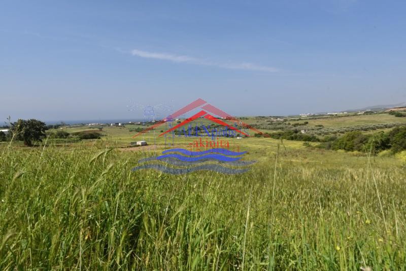 Αγροτεμάχια 5.000 τ.μ. πρός πώληση, Εβρος, Αλεξανδρούπολη