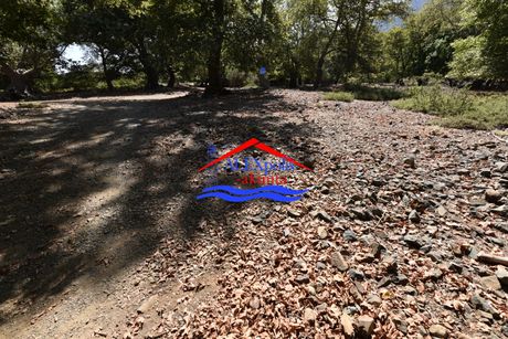 Αγροτεμάχια 2.178τ.μ. για πώληση-Σαμοθράκη » Κάτω καρυώτες