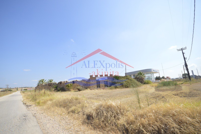 Αγροτεμάχια 9.970 τ.μ. πρός πώληση, Εβρος, Αλεξανδρούπολη