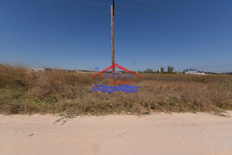 Αγροτεμάχια 7.500τ.μ. για πώληση-Αλεξανδρούπολη » Απαλός