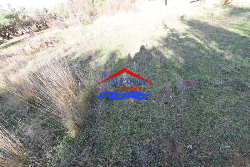 Οικόπεδο 737 τ.μ. πρός πώληση, Εβρος, Αλεξανδρούπολη