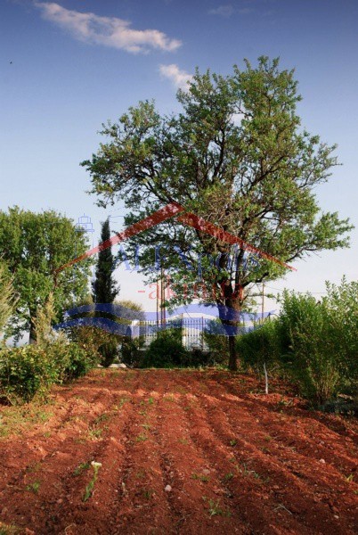 Μονοκατοικία 275 τ.μ. πρός πώληση, Εβρος, Αλεξανδρούπολη