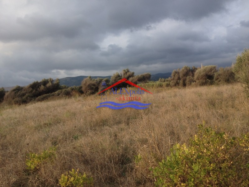 Αγροτεμάχια 12.000 τ.μ. προς πώληση, Νέα Χιλή