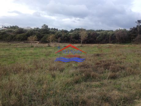 Αγροτεμάχια 7.500τ.μ. για πώληση-Αλεξανδρούπολη » Μάκρη