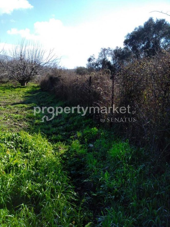 Parcel 2.800 sqm for sale, Rethymno Prefecture, Foinikas