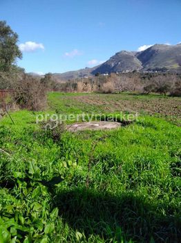 Parcel 2.800sqm for sale-Foinikas » Koxare