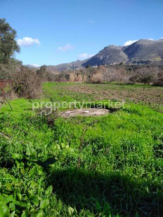 Αγροτεμάχια 2.800 τ.μ. για πώληση, Ν. Ρεθύμνου, Φοινίκας