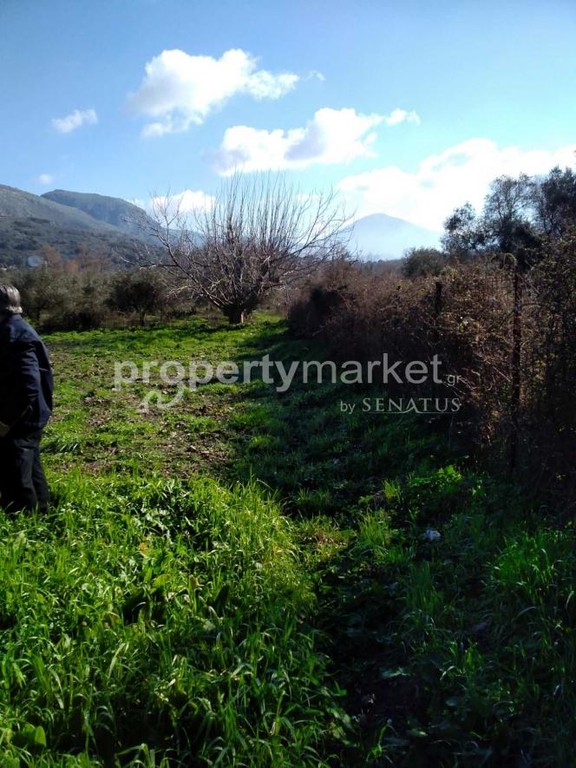 Parcel 2.800 sqm for sale, Rethymno Prefecture, Foinikas