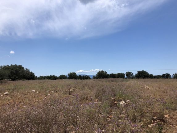 Parcel 5.380 sqm for sale, Kefallinia Prefecture, Kefalonia