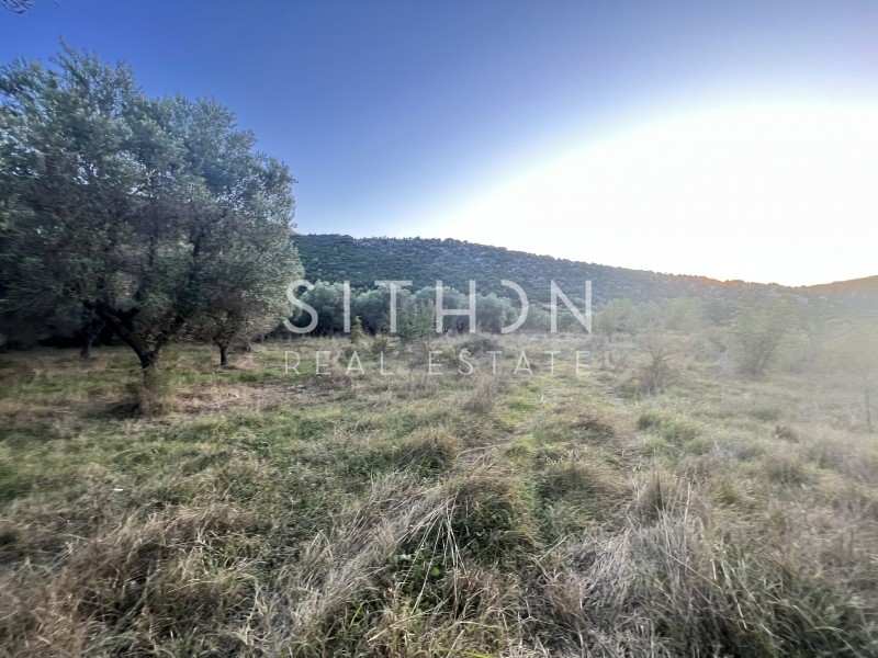 Αγροτεμάχια 1.032 τ.μ. προς πώληση, Κουφός Τορώνης