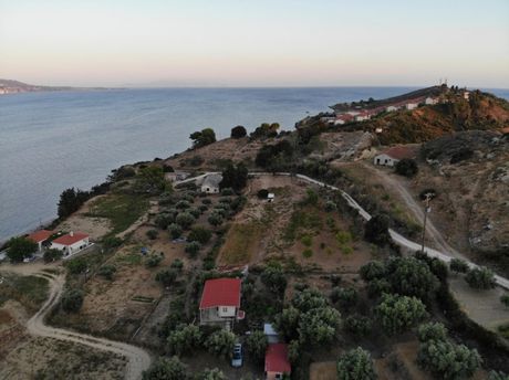 Αγροτεμάχια 12.800 τ.μ. για πώληση