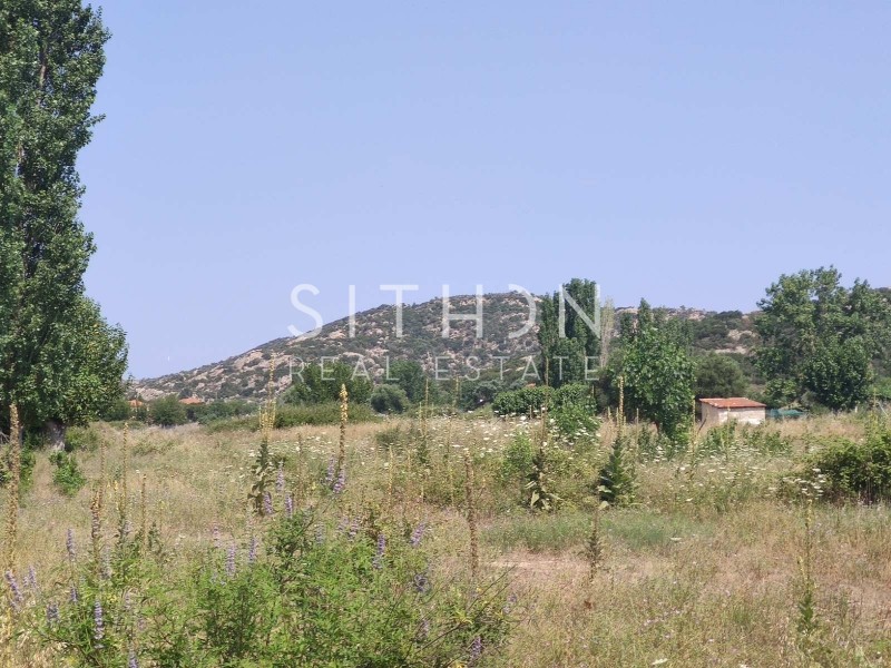 Αγροτεμάχια 7.704 τ.μ. προς πώληση, Συκιά Τορώνης