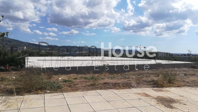 Επιχειρηματικό κτίριο 500 τ.μ. πρός ενοικίαση, Αχαΐα, Πάτρα