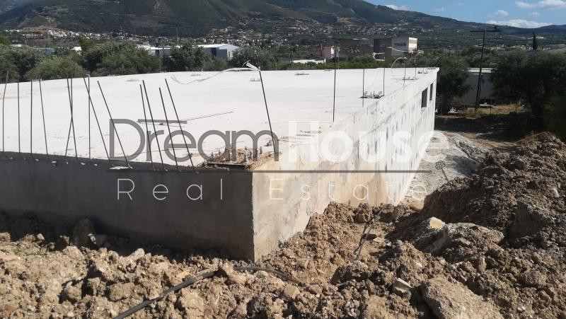 Επιχειρηματικό κτίριο 500 τ.μ. πρός ενοικίαση, Αχαΐα, Πάτρα