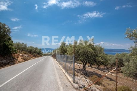 Parcel 13.524sqm for sale-Trikeri » Agia Kiriaki