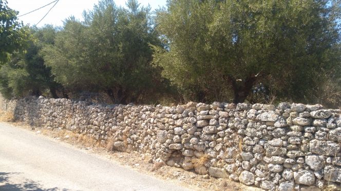 Land plot 16.364 sqm for sale, Kefallinia Prefecture, Kefalonia