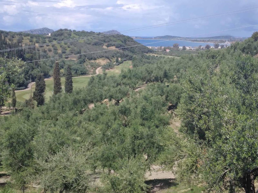 Οικόπεδο 30.700 τ.μ. προς πώληση, Γιάλοβα