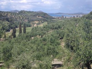 Οικόπεδο 30.700 τ.μ. για πώληση, Μεσσηνία, Πύλος-thumb-4