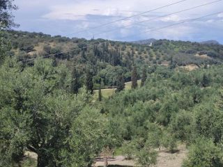 Οικόπεδο 30.700 τ.μ. για πώληση, Μεσσηνία, Πύλος-thumb-5