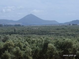 Οικόπεδο 5.804 τ.μ. προς πώληση, Τραγάνα Γαργαλιάνων-thumb-2