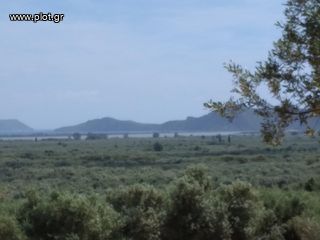 Οικόπεδο 5.804 τ.μ. προς πώληση, Τραγάνα Γαργαλιάνων-thumb-3