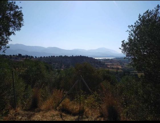 Parcel 4.746 sqm for sale, Kefallinia Prefecture, Kefalonia