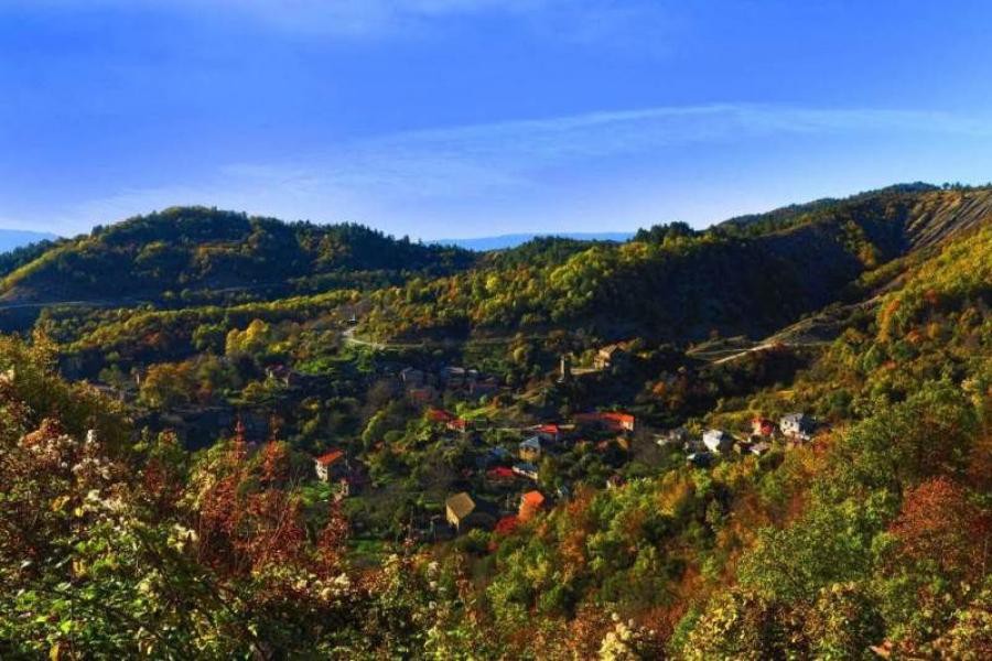 Οικόπεδο 366 τ.μ. πρός πώληση, Ν. Ιωαννίνων, Κεντρικό Ζαγόρι