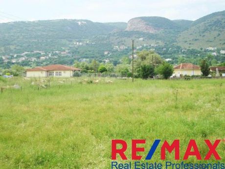 Οικόπεδο 1.480τ.μ. για πώληση-Ιωάννινα » Καρδαμίτσια