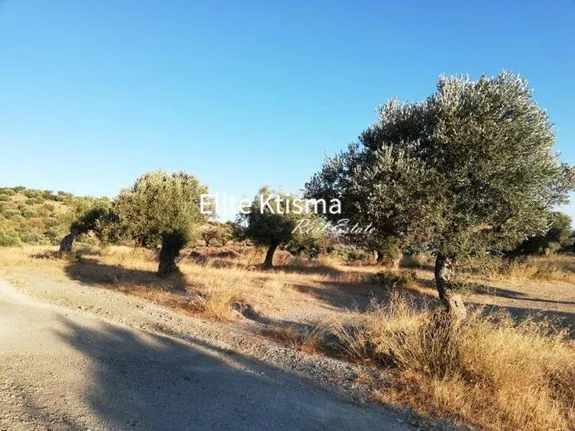 Parcel 3.800 sqm for sale, Rest Of Attica, Keratea