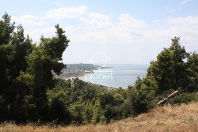 Αγροτεμάχια 10.200 τ.μ. πρός πώληση, Χαλκιδική, Κασσάνδρα