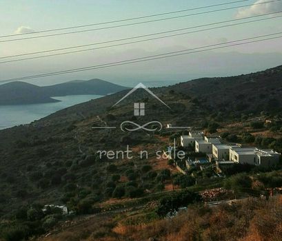 Αγροτεμάχια 68.000 τ.μ. για πώληση