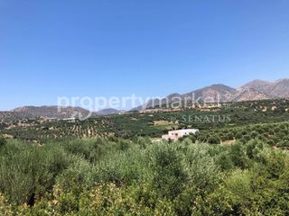 Αγροτεμάχια 4.000 τ.μ. για πώληση