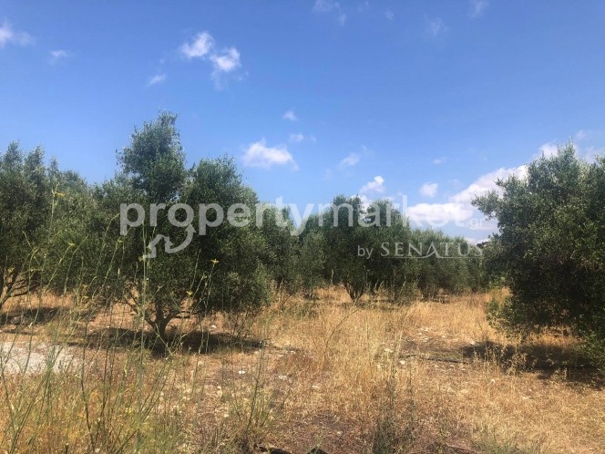 Parcel 11.500 sqm for sale, Rethymno Prefecture, Geropotamos