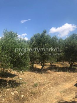 Parcel 11.500sqm for sale-Geropotamos » Achlades