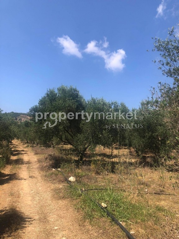 Parcel 11.500 sqm for sale, Rethymno Prefecture, Geropotamos