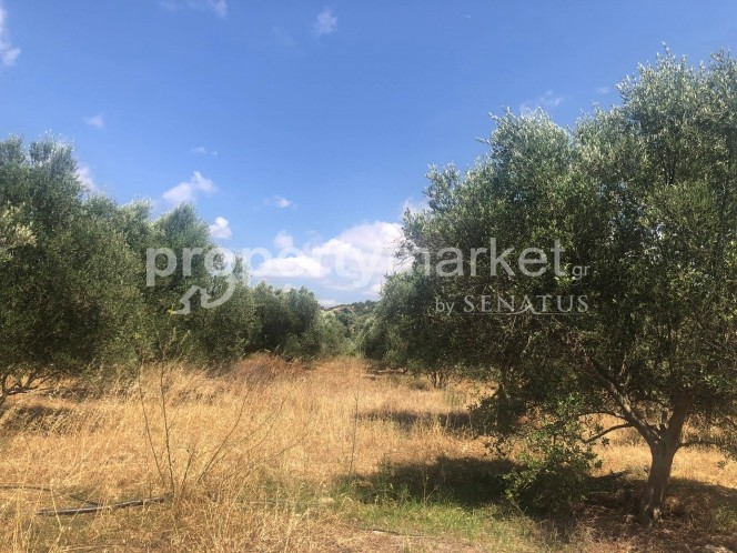 Parcel 11.500 sqm for sale, Rethymno Prefecture, Geropotamos