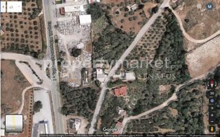 Αγροτεμάχια 4.248 τ.μ. για πώληση