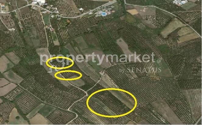 Αγροτεμάχια 6.942 τ.μ. για πώληση, Ν. Χανίων, Γεωργιούπολη