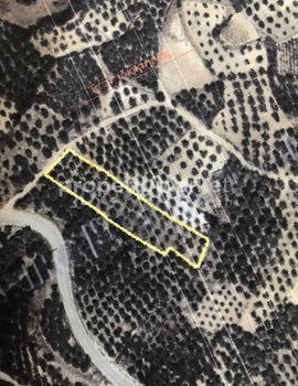 Parcel 2.803sqm for sale-Geropotamos » Aggeliana