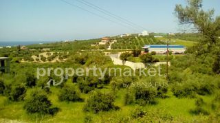 Αγροτεμάχια 1.300 τ.μ. για πώληση