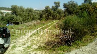 Αγροτεμάχια 1.300 τ.μ. για πώληση, Ν. Ρεθύμνου, Ρέθυμνο-thumb-6