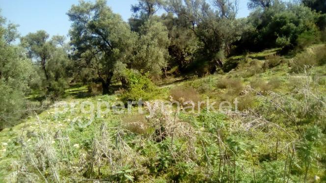 Αγροτεμάχια 1.300 τ.μ. πρός πώληση, Ν. Ρεθύμνου, Ρέθυμνο
