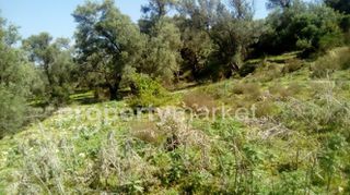Αγροτεμάχια 1.300 τ.μ. για πώληση, Ν. Ρεθύμνου, Ρέθυμνο-thumb-4