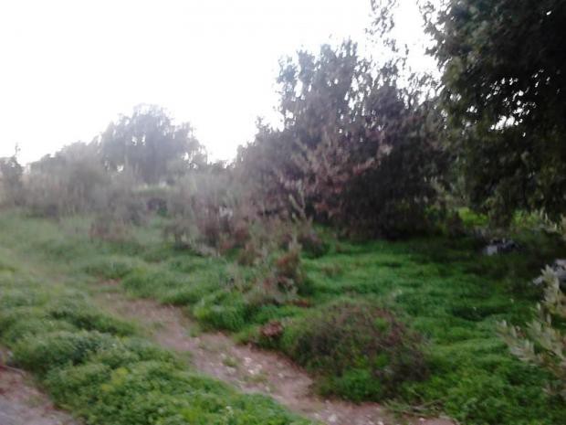 Οικόπεδο 1.030 τ.μ. πρός πώληση, Ν. Ρεθύμνου, Ρέθυμνο