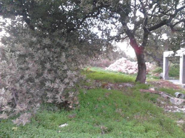 Οικόπεδο 1.030 τ.μ. πρός πώληση, Ν. Ρεθύμνου, Ρέθυμνο