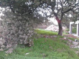 Οικόπεδο 1.030 τ.μ. για πώληση, Ν. Ρεθύμνου, Ρέθυμνο-thumb-3