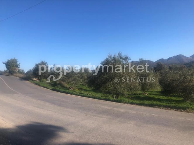 Οικόπεδο 4.000 τ.μ. για πώληση, Ν. Ρεθύμνου, Γεροπόταμος